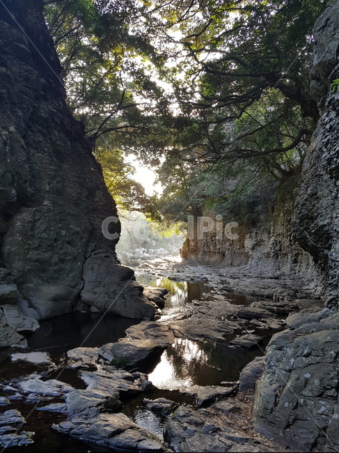 nature,자연,outdoors,옥외,제주도,폭포,자연,풍경,nature,landscape