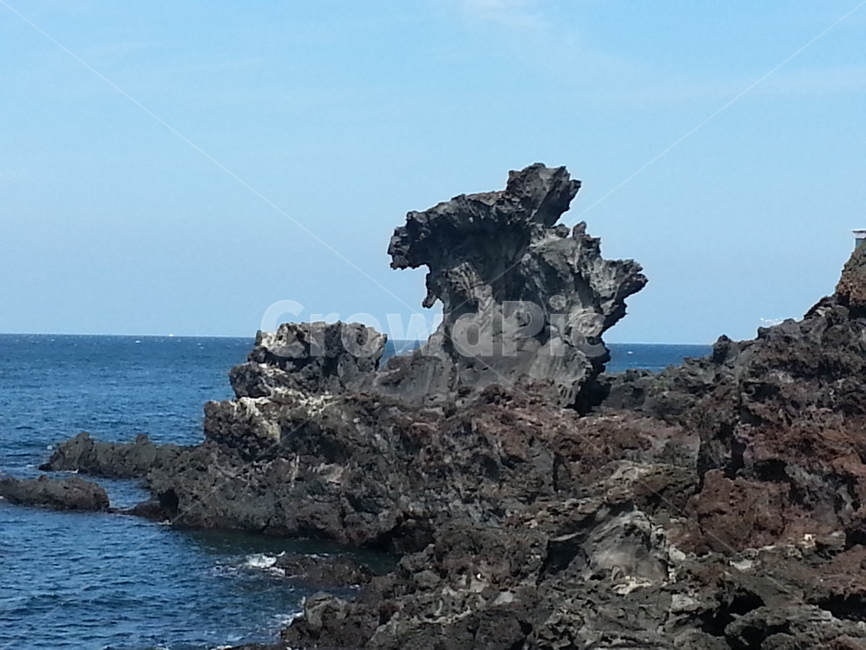 nature,자연,제주도,용두암,바다,바닷가