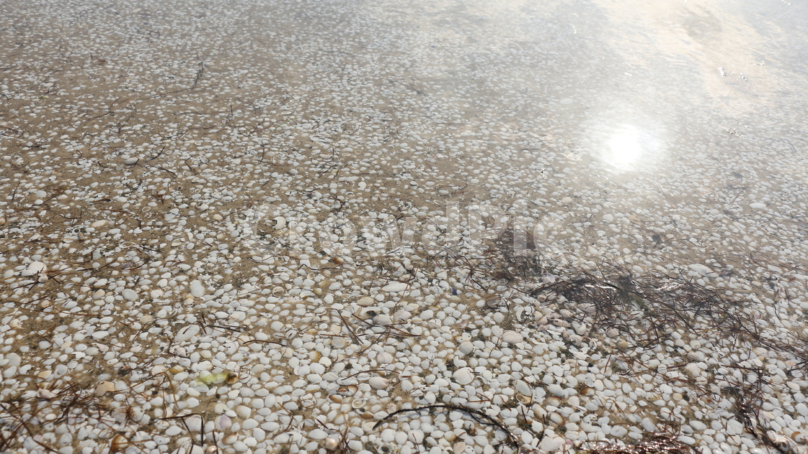 바다,감성,파도,물결,물,ocean,wave,water,crystalclear,투명,nature