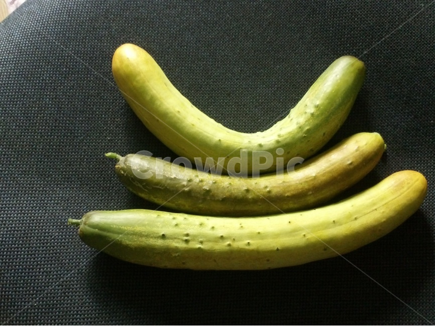오이,박과,호과,황과,덩쿨식물,음식,식재료,요리,food,cook,meal,dishes,food reserves,채소,야채,vegetables