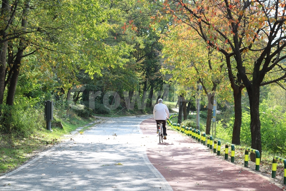 oldman,forest,tree,natural,walk,rest,휴식,노인,햇빛,숲,자연,가을,계절,fall,autumn,season,자연,풍경,nature,landscape,사람,인물,인간,human,person,남성,남자,man,male,노인,어르신,old man, senior citizen,스포츠,레저,운동,sports,leisure,exercise,건강,헬스웨어,헬스케어,healthware,health care,transportation,교통,bicycle,자전거,vehicle,차량,bike,path,통로