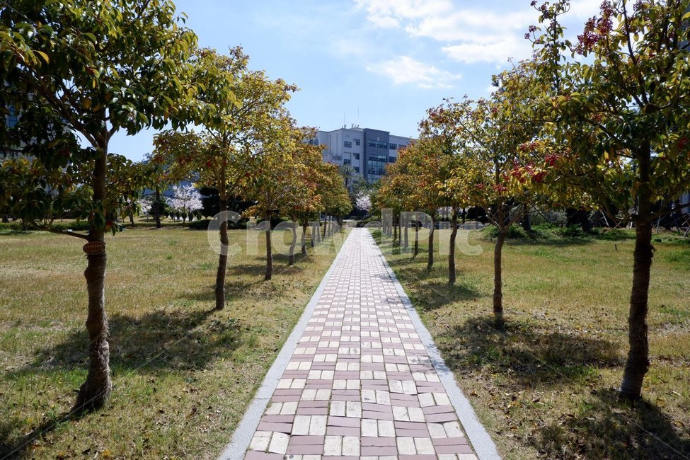 보도,보도블럭,길,walkway,도로,인도