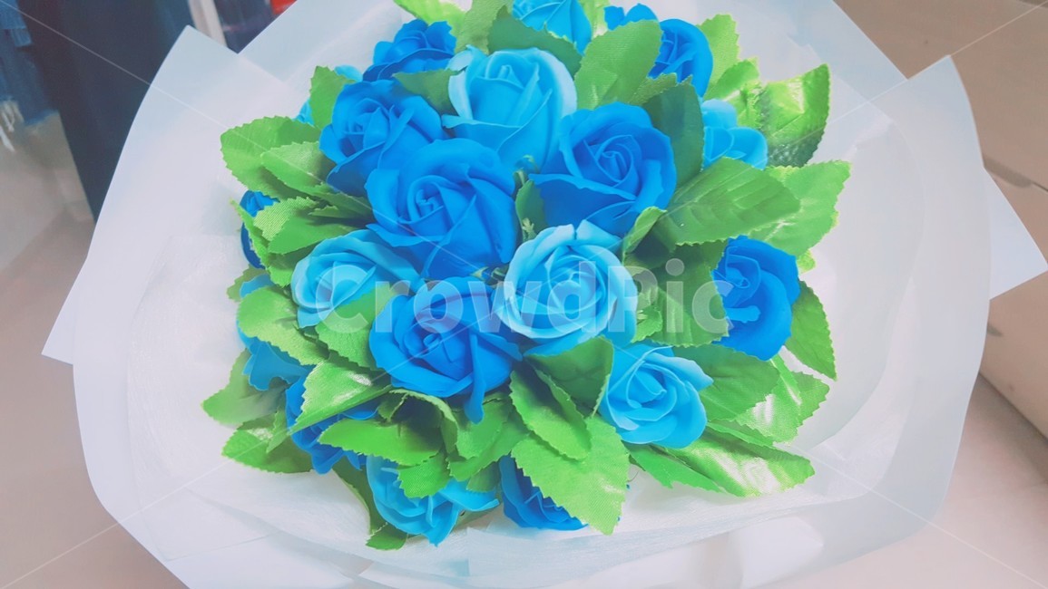 꽃,꽃다발,파란꽃,장미,조화,파란장미,초록잎,잎,flower,bouquet,파란색,blue,꽃,flower,기념일,축하,anniversary,congratulation,celebrate,celebration,색깔,색상,색채,색감,color sense,color sensitivity,feeling of color
