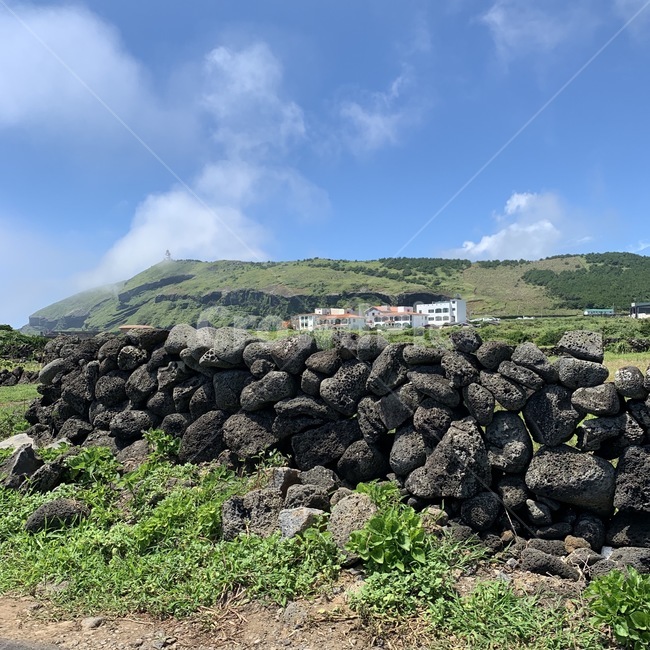 돌담,제주도,우도,자연,초록,풀,잔디,바위,돌,정겨운,마을,sky,grass,rock,nature,jeju,감성,sensible,하늘,rest,relaxation,healing