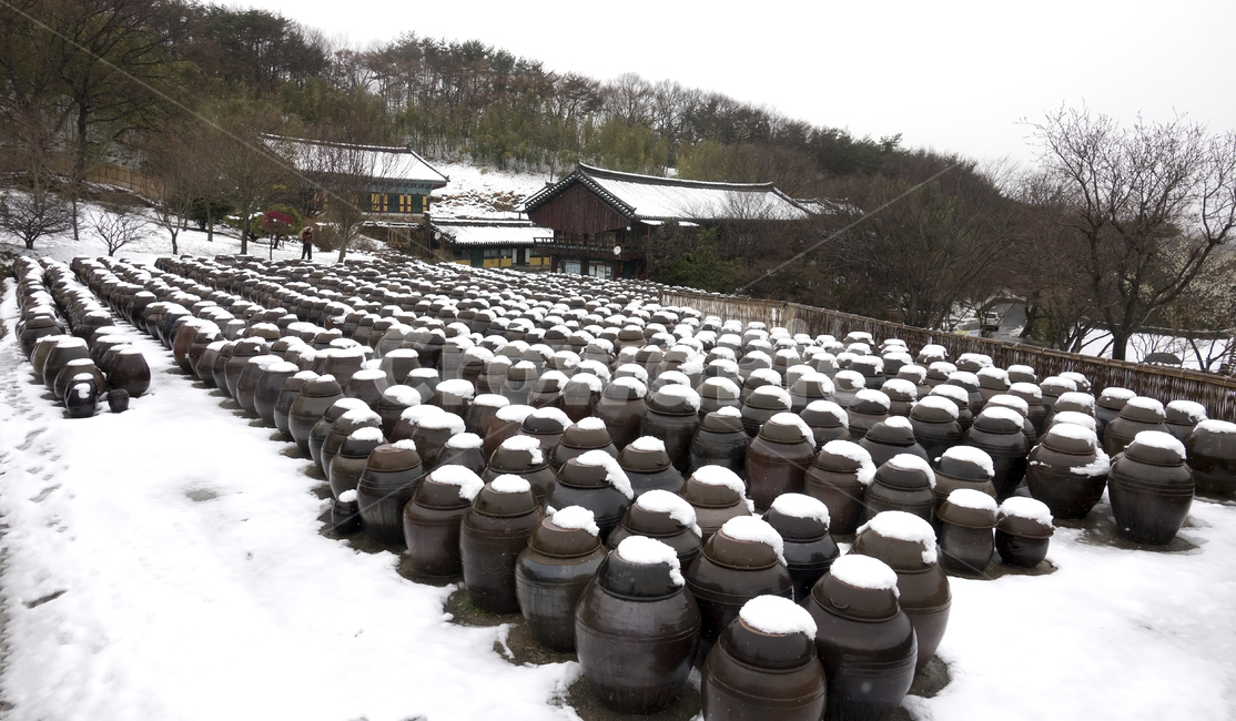 겨울,장독대,사찰,눈,서운암,겨울,계절,winter,season,한국전통,한국문화,korean traditional,korean culture,사물,물건,오브젝트,thing,object,matter