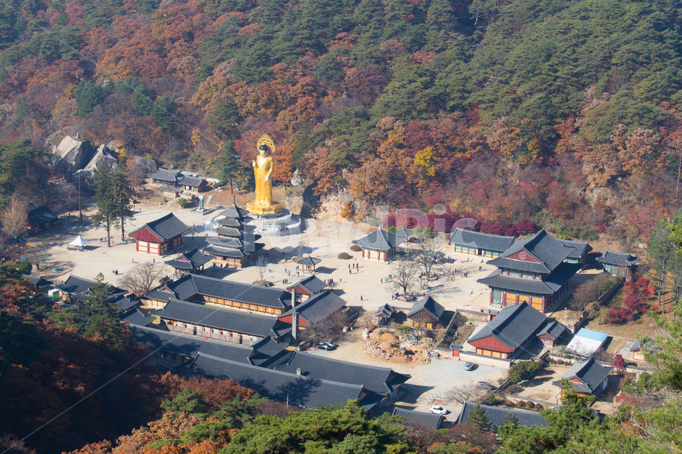 법주사,속리산,풍경,경치,nature