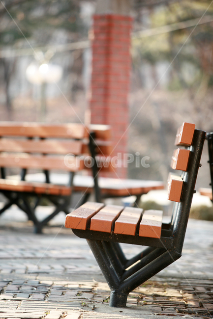 furniture,가구,의자,벤치,나무,공원,오후,햇살,chair,bench,park,afternoon,sunlight
