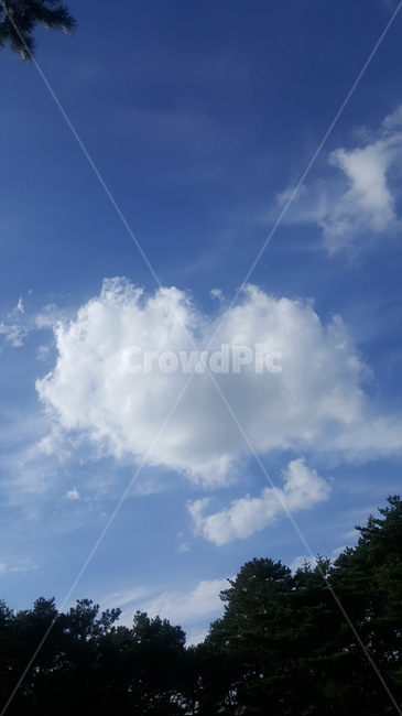 하늘,풍경,구름,하트,heart,나무,가을,cloud,sky,tree,healing,힐링,landscape
