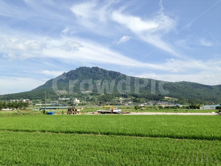 시골,풍경,농촌,논,자연,시골퐁경,산,자연풍경,자연,풍경,nature,landscape,여름,계절,summer,season,시골,마을,country,rural,town,outdoors,옥외,grassland,목초지,field,들,paddy field,패디 필드