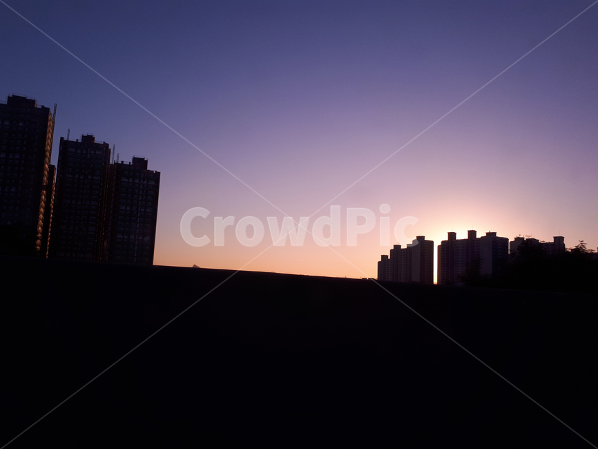 도로변,도로옆,도시,감성,해질녘,풍경,네이비,sunset,sky,city,landscape,navy,blue,도시,풍경,city,landscape,실루엣,그림자,silhouette,shadow,nature,자연,outdoors,옥외
