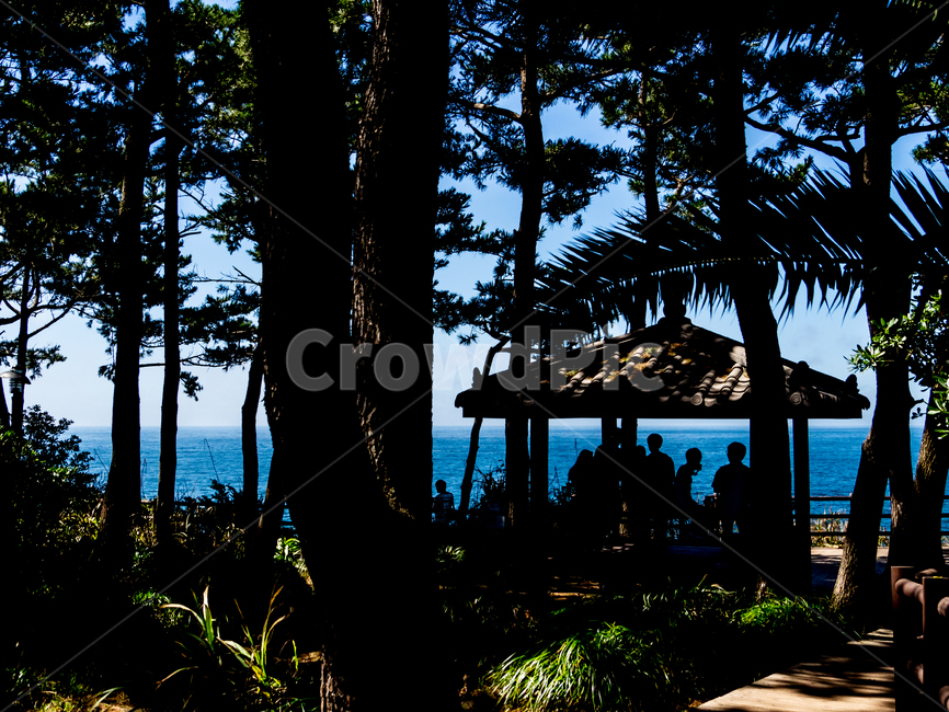 제주,jeju,바다,summer,vacation,자연,풍경,nature,landscape,사람들,대중,군중,other people,crowd,인물실루엣,사람실루엣,character silhouette,human silhouette,human,인간,person,사람