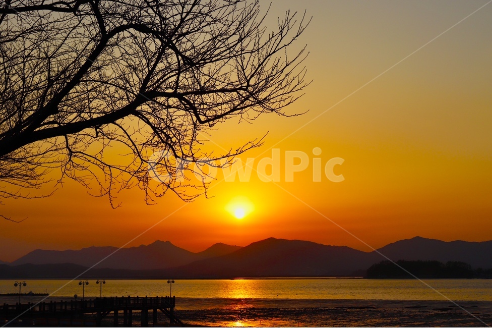 노을,감성,바다,태양,나무,자연,풍경,nature,landscape,outdoors,옥외,sky,하늘,dusk,황혼,sunset,일몰,red sky,붉은 하늘,dawn,새벽,sunlight,햇빛