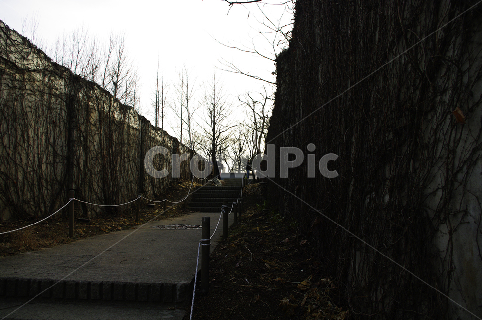 겨울,나무,공원,식물,plant,길,건축물,건물외관,exterior,building,structure,architecture,construction