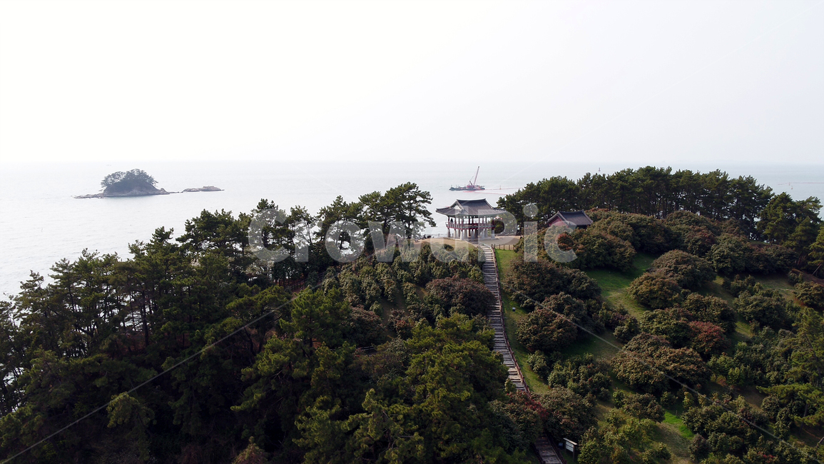 동백,동백정,동백꽃,꽃,자연,풍경,바다,flower,nature,landscape,sea,경치