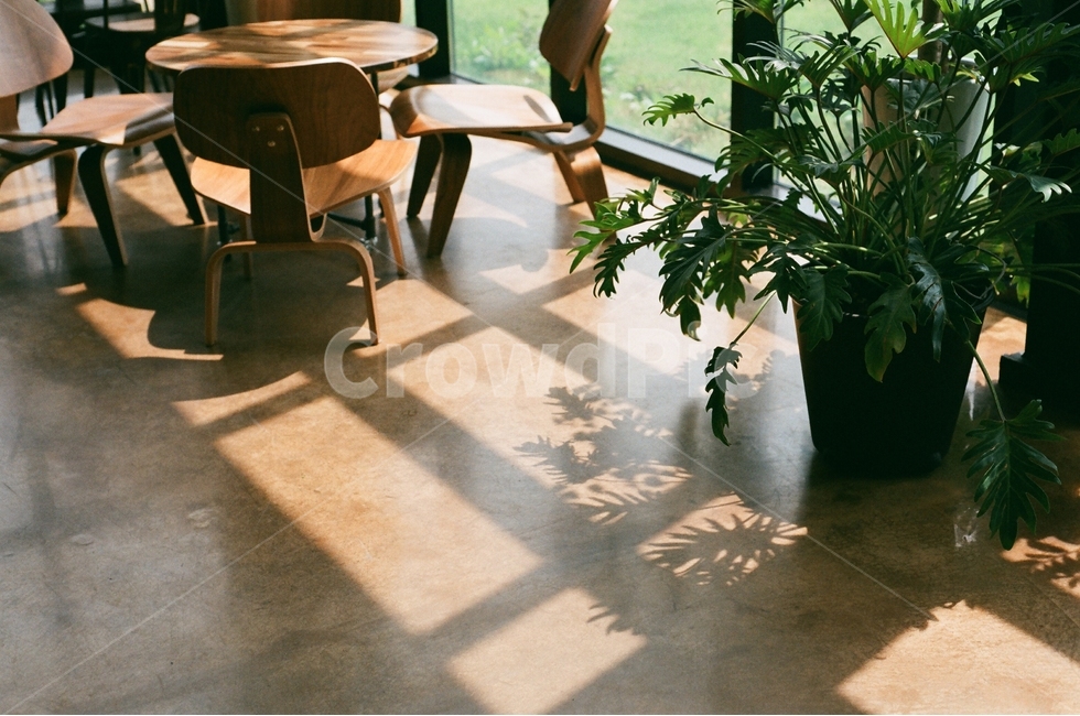 식물,그림자,의자,탁자,사물,필름,필름사진,감성,sensible,feeling,인테리어,실내디자인,interior design