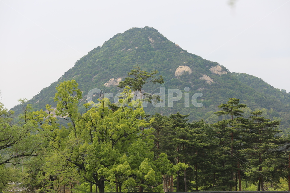 산,나무,인왕산,숲,봄,푸른,초록,자연,배경,환경,산봉우리,능선,하늘,화창한,날씨,맑은,녹색,자연,풍경,nature,landscape,outdoors,옥외