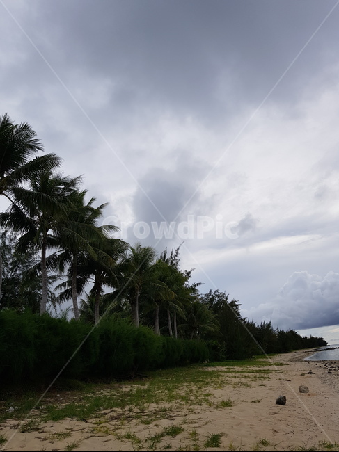 land,나라,nature,자연,outdoors,옥외,water,물,shoreline,해안선,ocean,대양,saipan,sky,cloud,하늘,구름,맑은하늘