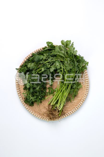 고수,식재료,신선식품,식품,채소,야채,음식,식재료,요리,food,cook,meal,dishes,food reserves,채소,야채,vegetables
