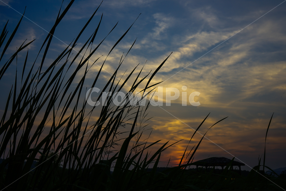 석양,노을,해넘이,하늘,풍경,자연,정자,공원,자연,풍경,nature,landscape,실루엣,그림자,silhouette,shadow,outdoors,옥외,sky,sunset,일몰,dusk,황혼,dawn,새벽,red sky,붉은 하늘