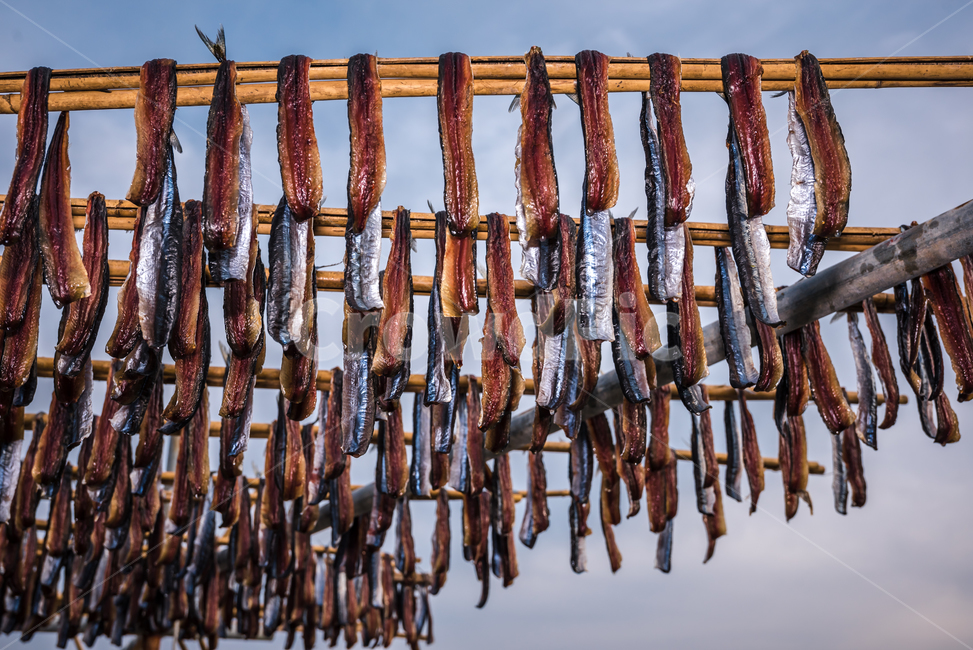 과메기,구룡포,동해,꽁치,거조,바다,술안주,안주,아침,해안,해변,파도,특산물,포항,해풍,신선,해산물,수산물,요리,겨울,sea,food,음식,식재료,요리,food,cook,meal,dishes,food reserves,수산물,해산물,fishery products,seafood