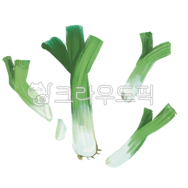 대파이미지, 대파일러스트, 대파자료, 대파그림, 대파손그림, 사진,이미지,일러스트,캘리그라피 - Nmizy_kim작가