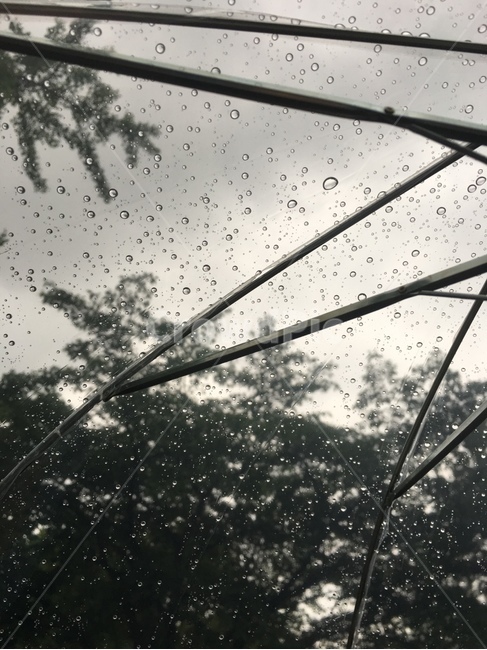 우산,비오는날,빗방울,빗물,장마,먹구름,미스트,mist,물방울,비,비오는날,rain,rainy,흑백,모노톤,monochrome,black and white