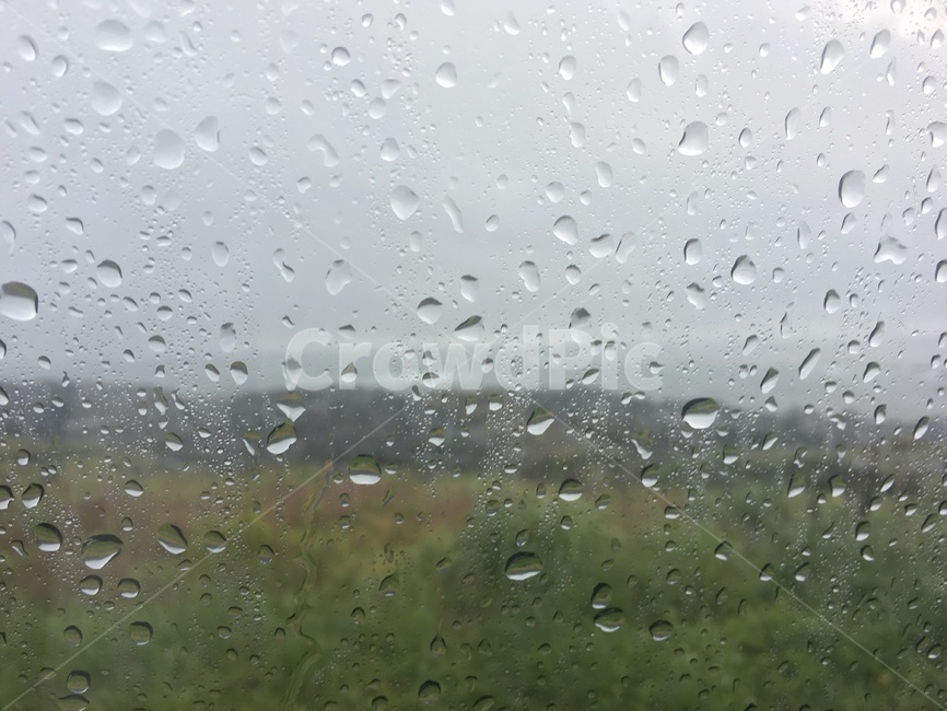 빗방울,비,창문,비내리는,클로즈업,창,포커스,유리,유리창,비,비오는날,rain,rainy