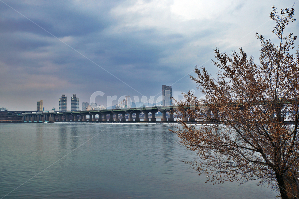 잠실,한강,잠실대교,잠실둔치,한강다리,자연