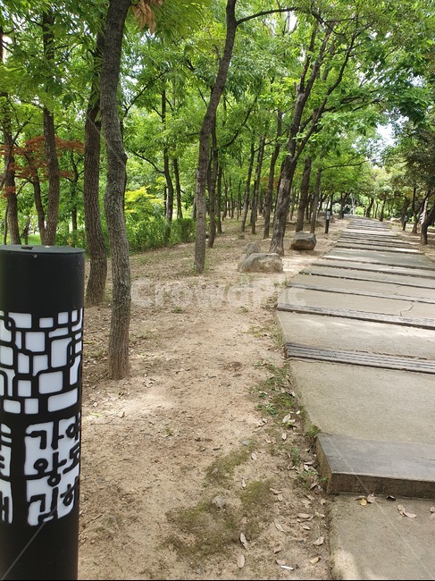 공원,산책길,여름,등,가로등