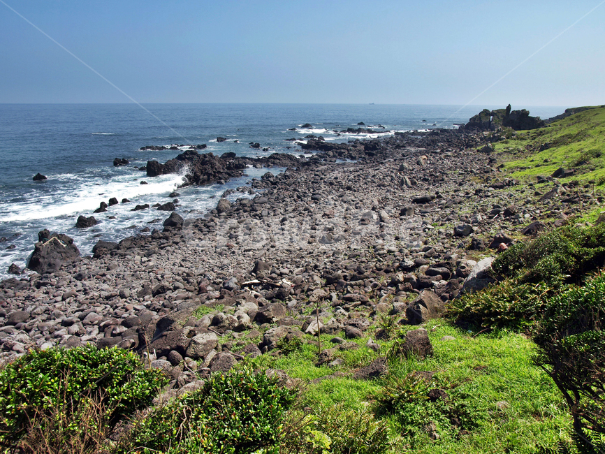 신천리해변,바다목장,올레3코스,올레,제주,서귀포,바다,자연,풍경,nature,landscape,제주도,jeju,jeju island,ground,바닥