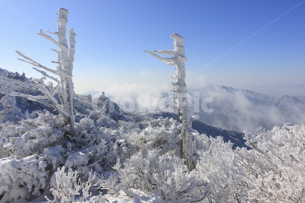 겨울,덕유산,눈꽃,상고대,겨울덕유산,산행,폰배경,바탕화면,겨울,계절,winter,season,자연,풍경,nature,landscape,한국자연풍경,한국자연경관,korea nature landscape,outdoors,옥외,ice,빙,snow,눈,cross,가로 질러 가다,symbol,상징