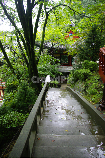 사찰,절,나무,풍경,길,식물,자연,풍경,nature,landscape,한국자연풍경,한국자연경관,korea nature landscape,arbour,정자,outdoors,옥외,garden,정원