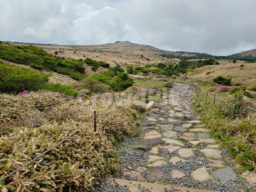 산길,돌길,하늘,들판,등산,mountain,sky,clouds,green,초록,한라산,배경,데크,walkway,trail,fense,펜스