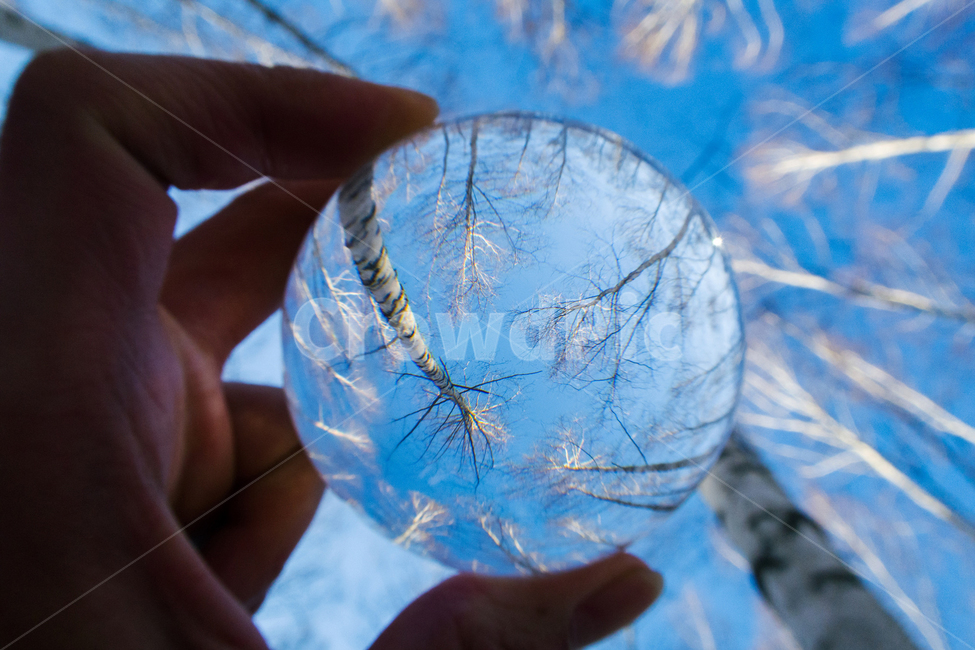 구슬,자연,풍경,자작나무,겨울,감성,하늘,겨울,계절,winter,season,식물,자연,plants,nature,나무,trees,wood,사물,물건,오브젝트,thing,object,matter