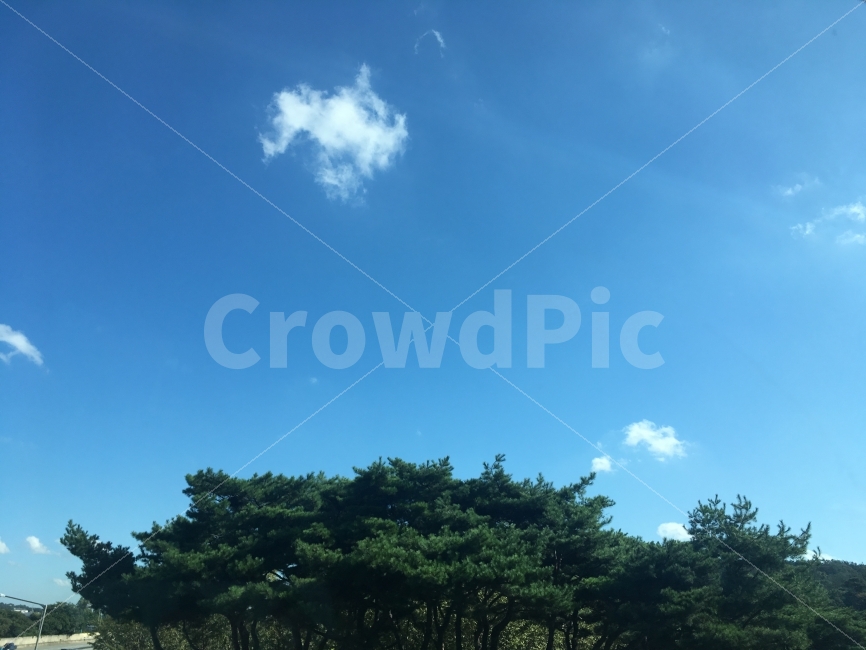 구름,하늘,숲,나무,Clould,Sky,Tree,Blue,Green,자연,풍경,nature,landscape,outdoors,옥외