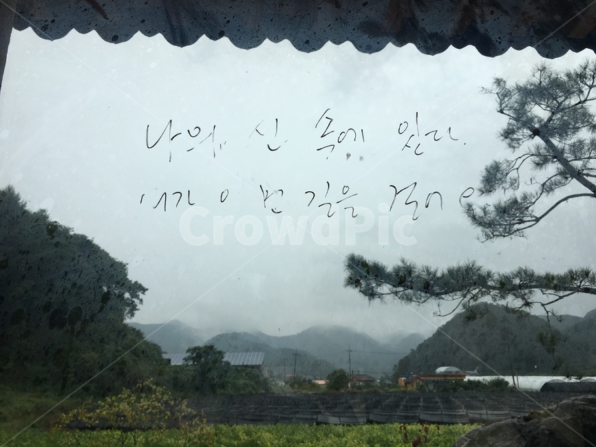 nature,자연,text,본문,outdoors,전통,한옥,소나무,비오는날,하늘,유리창,비오는날유리창