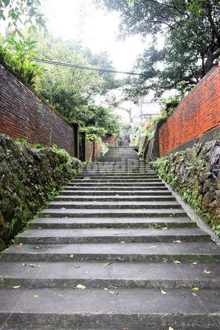 계단,나무,자연,풀,벽,잔디,stairs,tree,wall,골목길,alley,outdoors,옥외,staircase,garden,정원