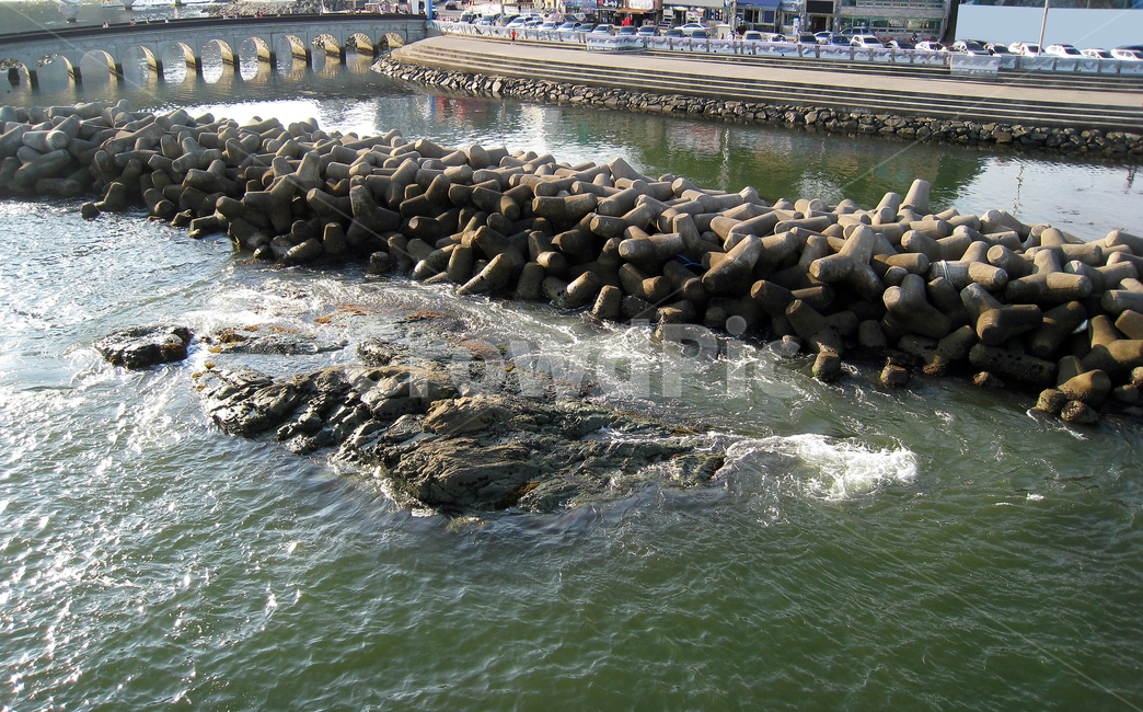 방파제,파도,해일,태풍,안전,자연,풍경,nature,landscape,sea life,해양 생물,sea lion,바다 사자,animal,동물,mammal,포유류