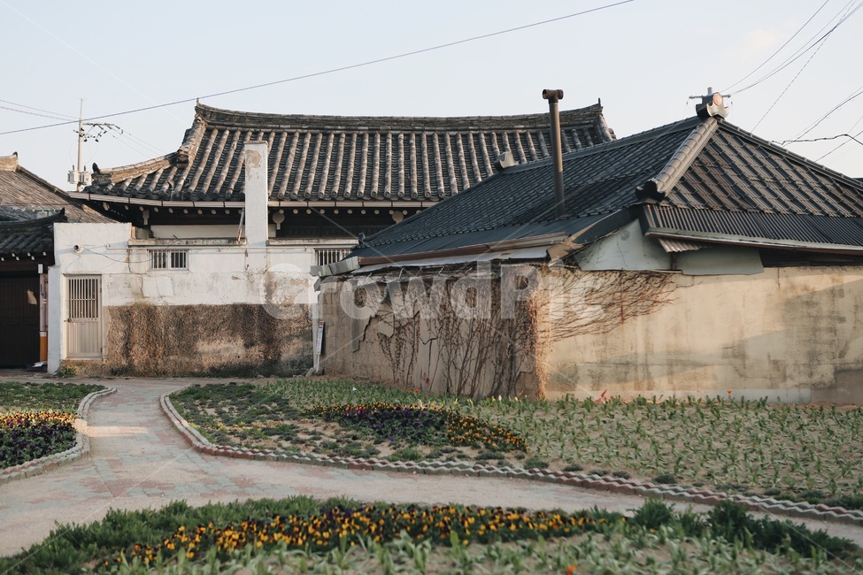 집,시골집,낡은집,분위기,아날로그,감성사진,잔디,꽃,풀밭,시골,마을,풍경,landscape,country,rural,town