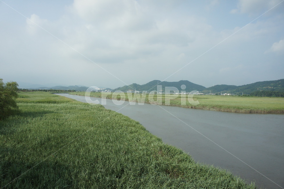 늪,순천만,순천,강,들판,산,하늘,회색,흐림,파란색,갈대,갈대밭,outdoors,옥외,nature,자연,land,나라,water,물,grassland,목초지,field,들,grass,잔디,plant,식물,대한민국,한국