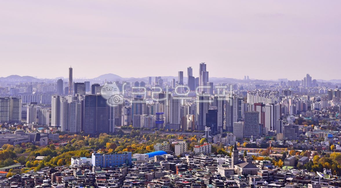 서울,대도시,도시경관,조감도,비즈니스,빌딩가,중심지,건축물,빌딩,메트로폴리탄,녹지,환경,city,배경,백그라운드,metropolis,건물,도시,시티,옥외,outdoors,가을,자연,nature,town,building,urban