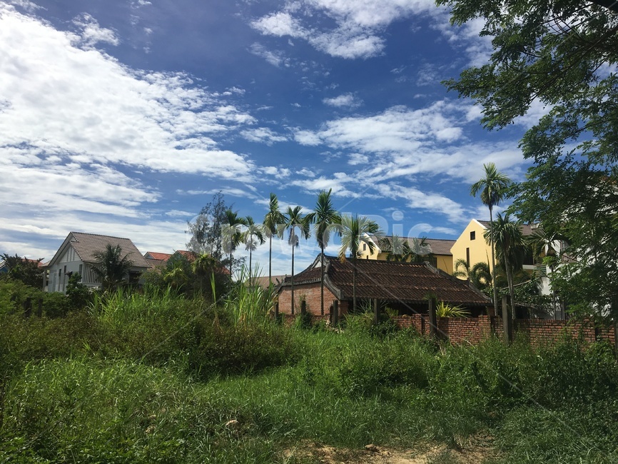 자연,시골,나무,주택,힐링,nature,building,outdoors,tree,sky
