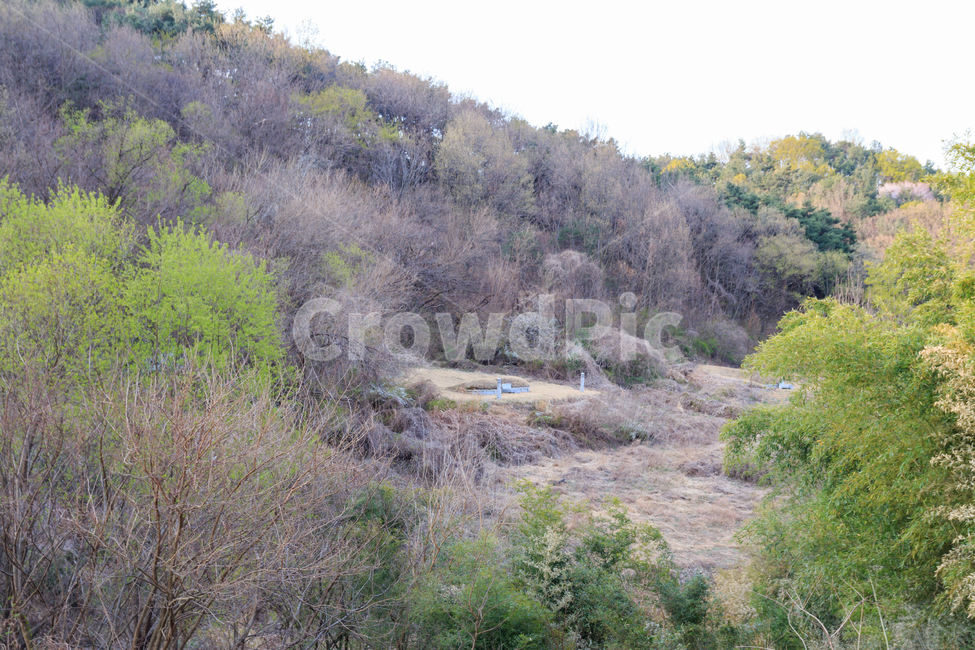 산,산소,무덤,깊숙한,선산,자연,풍경,경치,경관,숲,나무,봄,봄풍경,산속,조상,봉분,외진,초봄,한국,아시아,묘,묘지,수풀,높은산,조상묘