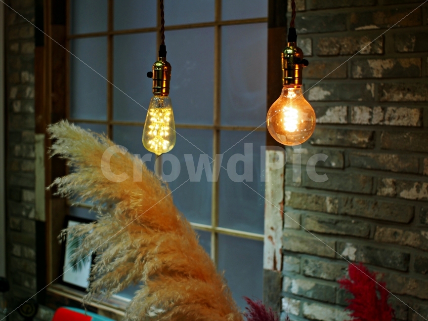 전구,갈대,촬영,스튜디오,감성,인테리어,실내디자인,interior design,사물,물건,오브젝트,thing,object,matter