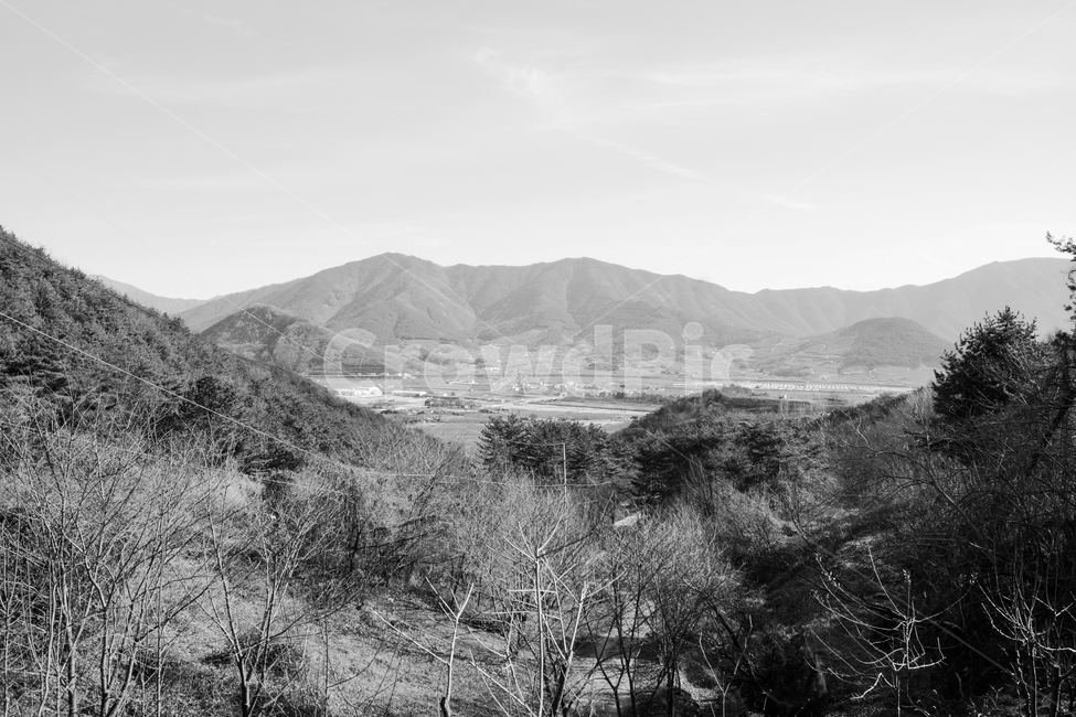 풍경,나무,자연,하늘,산,자연,풍경,nature,landscape,흑백,모노톤,monochrome,black and white,outdoors,옥외