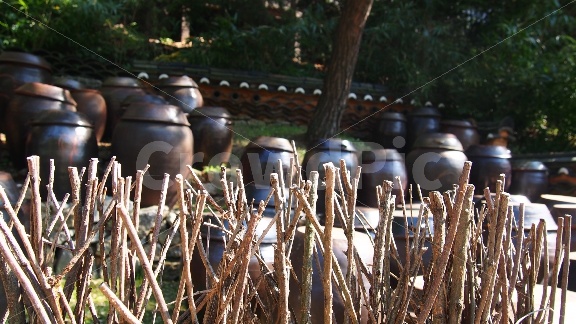 가을,울타리,장독대,항아리,우리의멋,한국전통,한국문화,korean traditional,korean culture