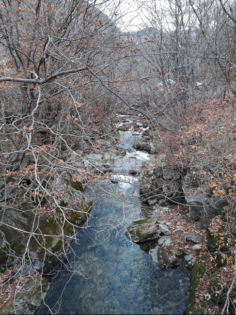 nature,자연,water,물,stream,옥외,outdoors,creek,흐름,flow,leaf,leaves,낙엽,나뭇가지,branch,winter,겨울,초겨울,earlywinter,바위,이끼,rock,moss,자연,풍경,nature,landscape,작은 만