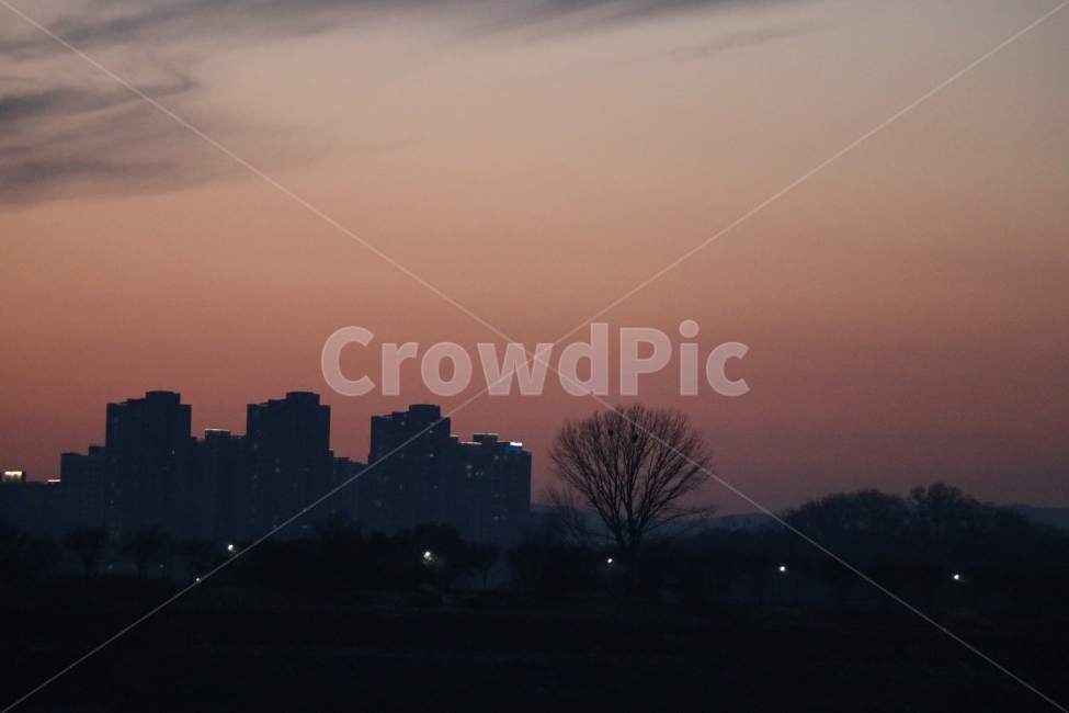 노을,해너미,강,풍경,나무,아파트,도시,풍경,city,landscape,한국도시풍경,한국도시경관,korea cityscape,nature,자연,outdoors,옥외