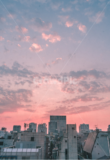 nature,자연,outdoors,옥외,도시,일출,아침,하늘,sky