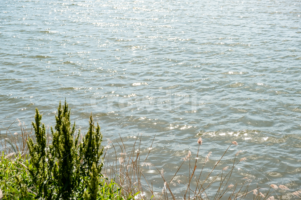 경포대,경포호수,자연,호수,lake,휴식,힐링,rest,relaxation,healing